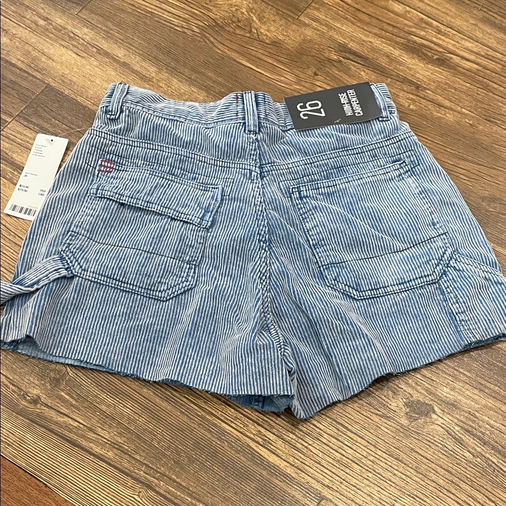 URBAN Outfitters Blue Striped Women Shorts
